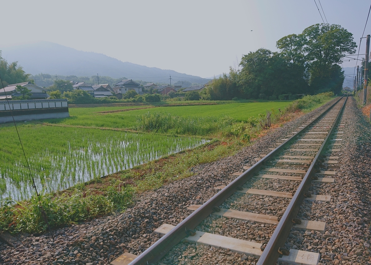 f:id:Kaimotu_Hatuji:20210801130954j:plain