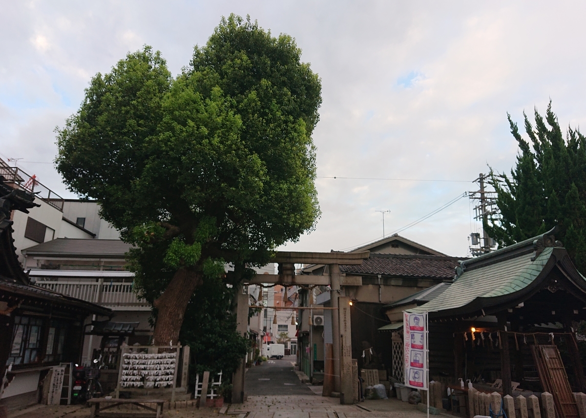 f:id:Kaimotu_Hatuji:20210810114317j:plain