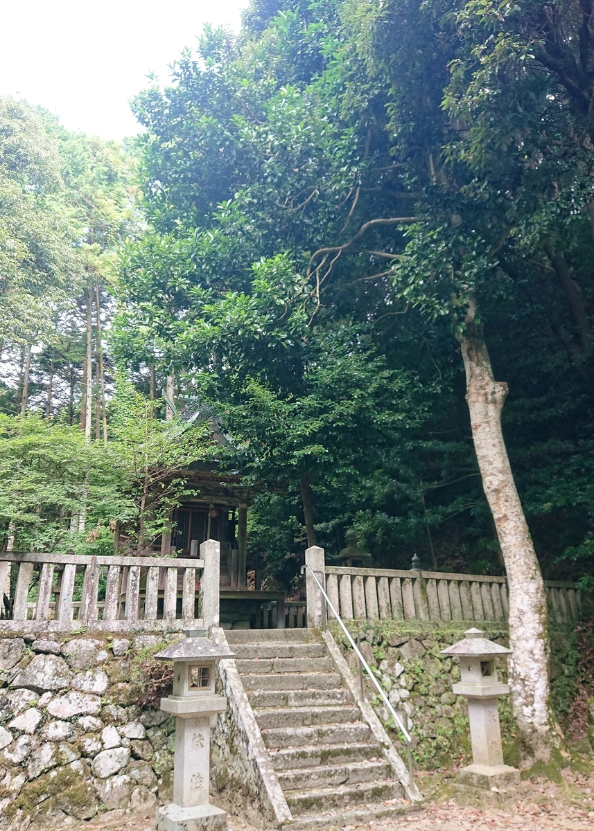 f:id:Kaimotu_Hatuji:20210815150443j:plain