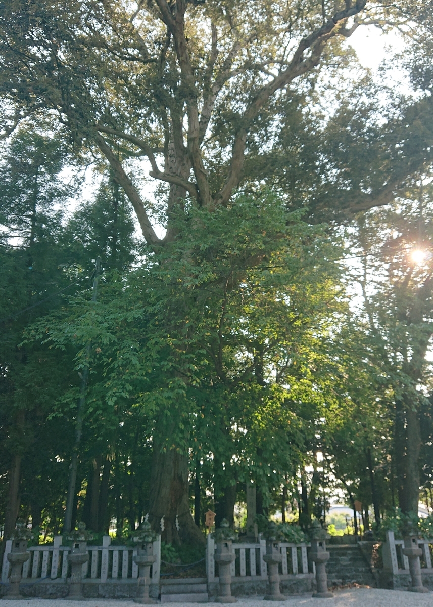 f:id:Kaimotu_Hatuji:20210817090430j:plain