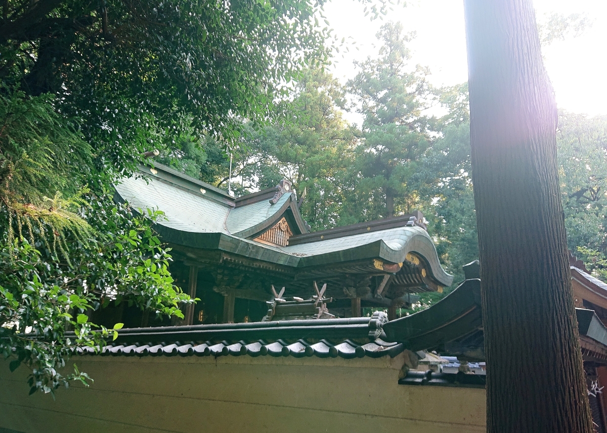 f:id:Kaimotu_Hatuji:20210817090517j:plain