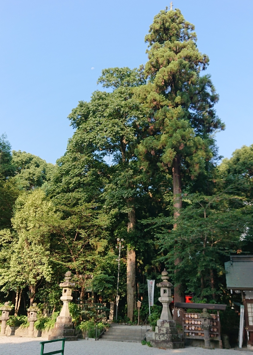 f:id:Kaimotu_Hatuji:20210817090823j:plain