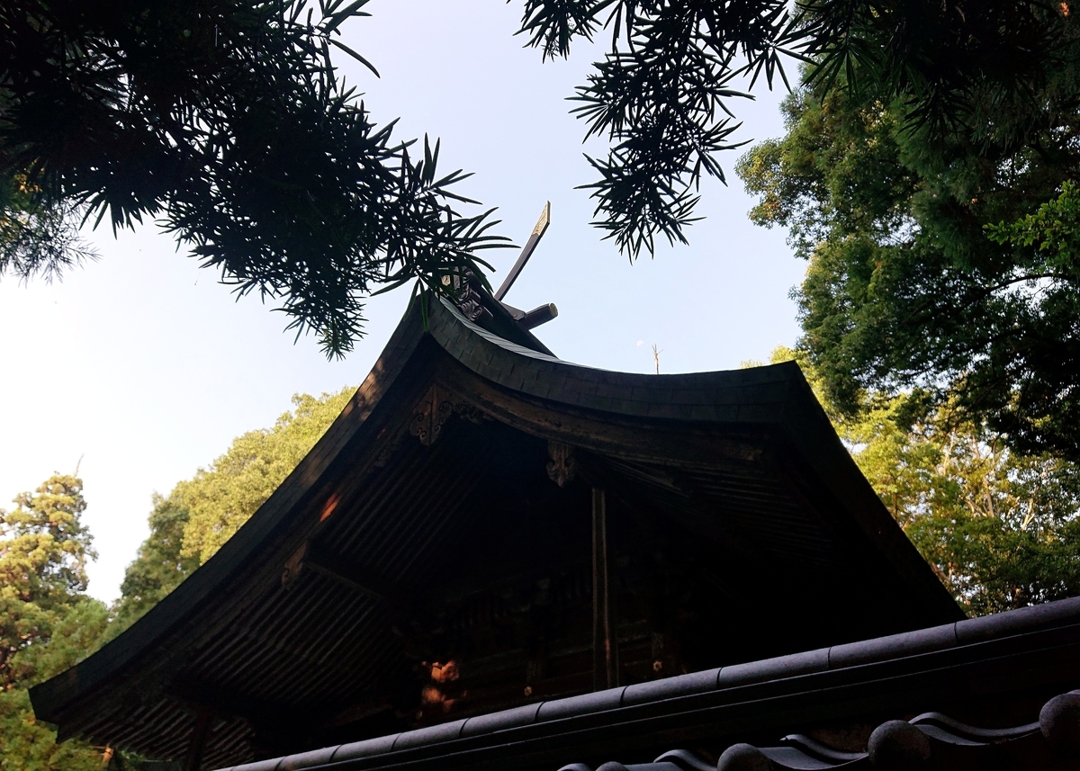 f:id:Kaimotu_Hatuji:20210817090843j:plain