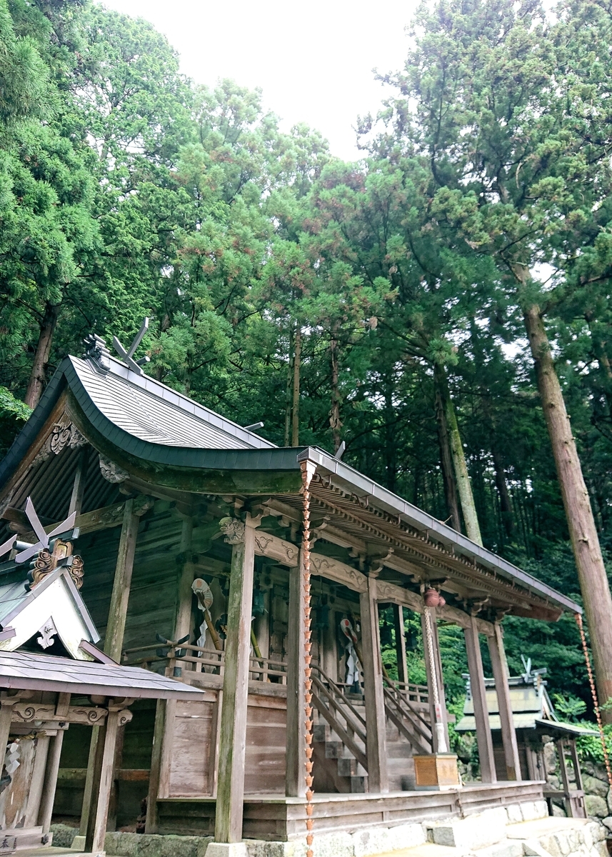 f:id:Kaimotu_Hatuji:20210819135017j:plain