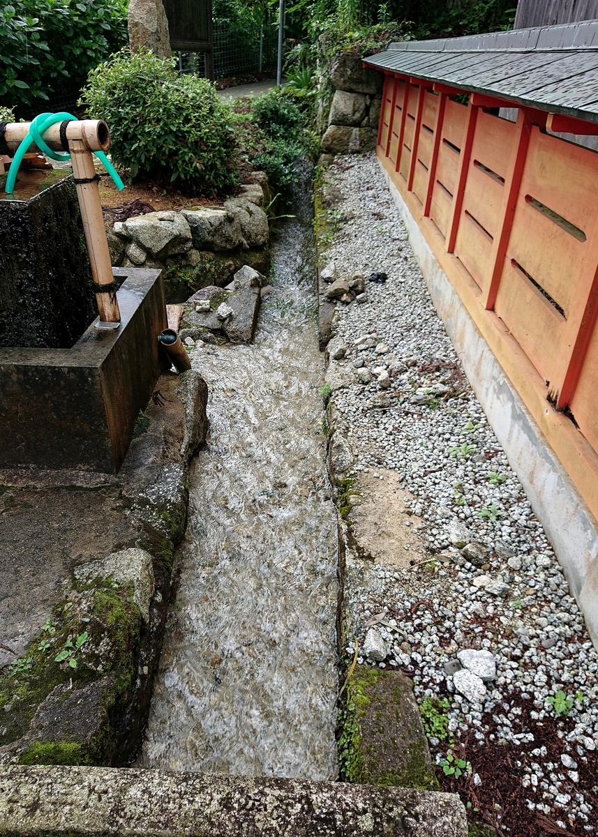 f:id:Kaimotu_Hatuji:20210819135309j:plain