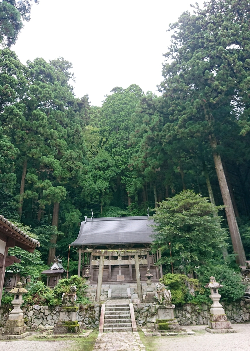 f:id:Kaimotu_Hatuji:20210819140445j:plain