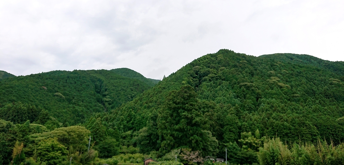 f:id:Kaimotu_Hatuji:20210819140647j:plain