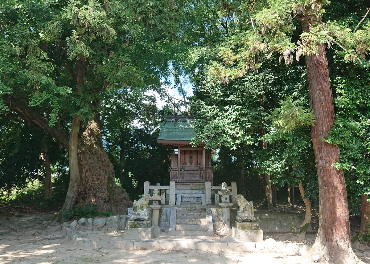 f:id:Kaimotu_Hatuji:20210828135534j:plain