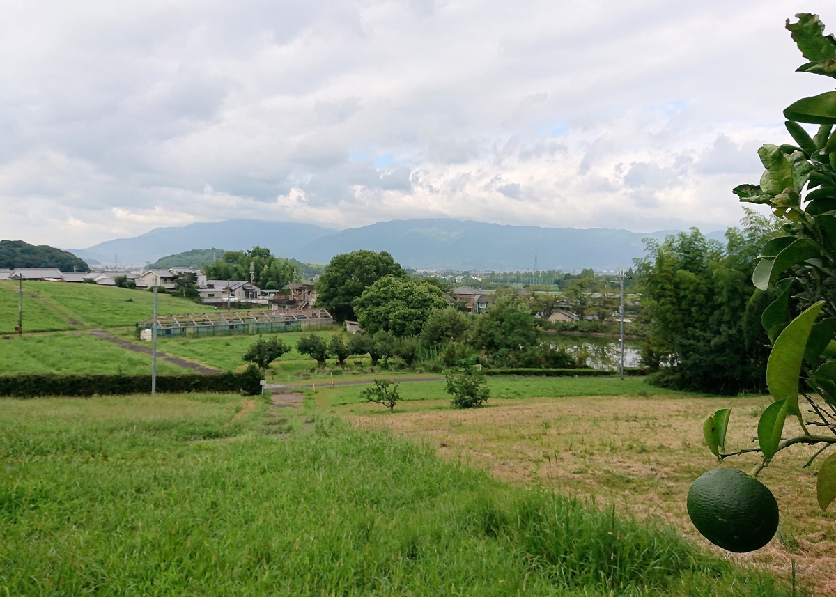 f:id:Kaimotu_Hatuji:20210901150638j:plain