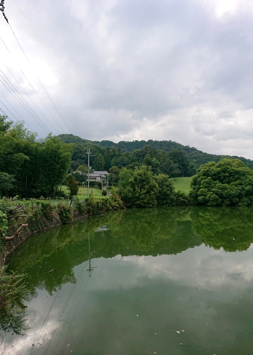 f:id:Kaimotu_Hatuji:20210901150724j:plain