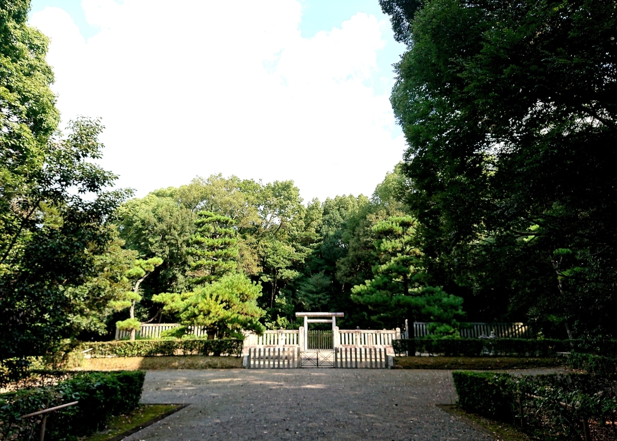 f:id:Kaimotu_Hatuji:20210901155443j:plain