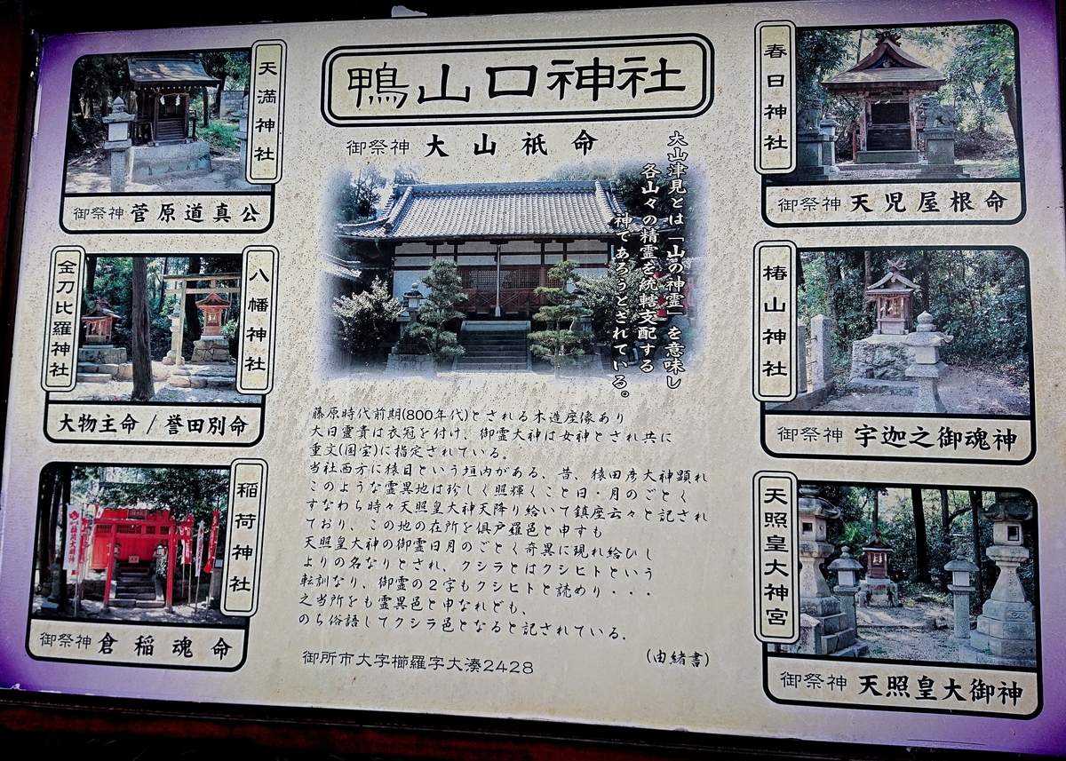 f:id:Kaimotu_Hatuji:20210903103210j:plain