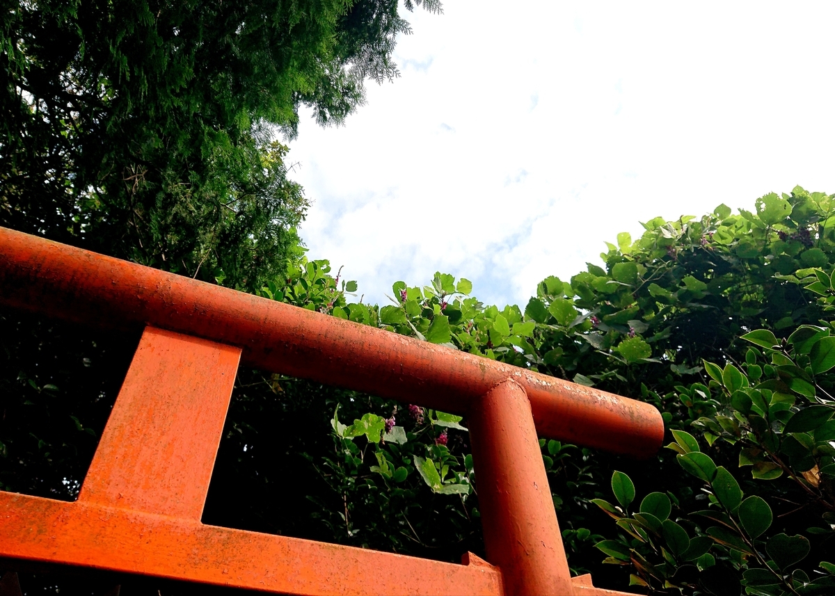 f:id:Kaimotu_Hatuji:20210905123302j:plain