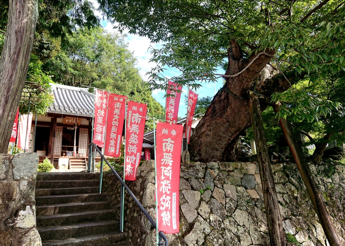 f:id:Kaimotu_Hatuji:20210921130638j:plain