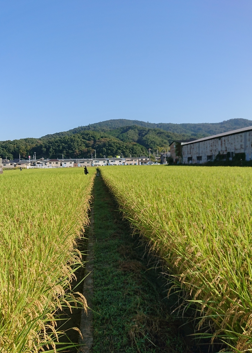 f:id:Kaimotu_Hatuji:20211003155104j:plain