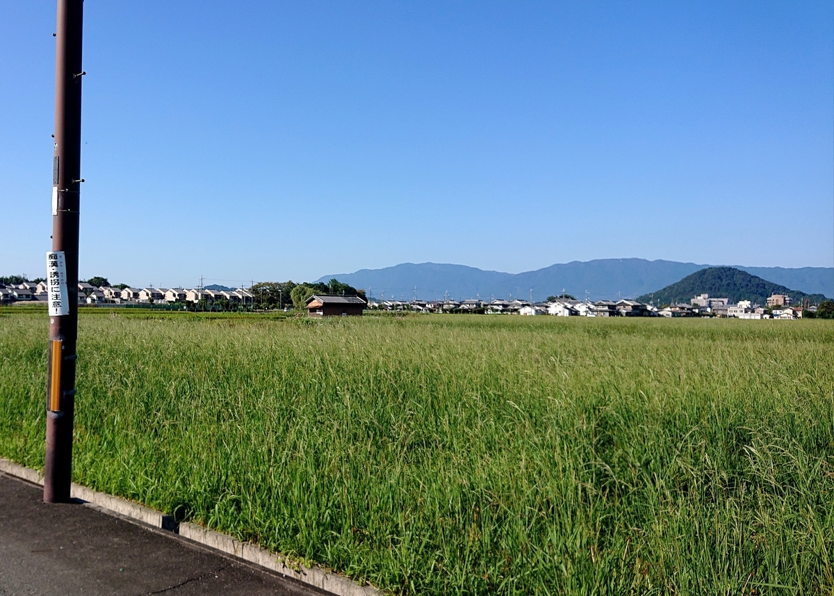 f:id:Kaimotu_Hatuji:20211007065313j:plain