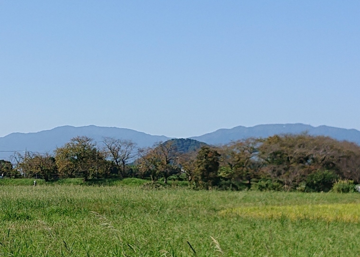 f:id:Kaimotu_Hatuji:20211009155501j:plain