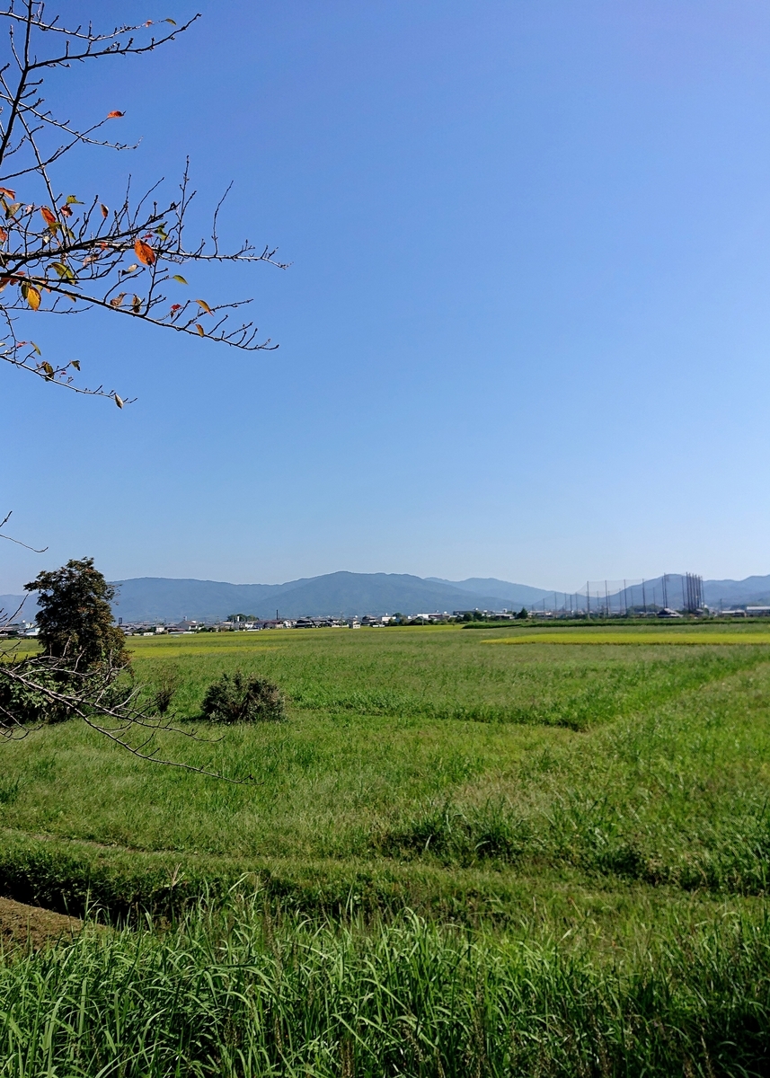 f:id:Kaimotu_Hatuji:20211012132120j:plain