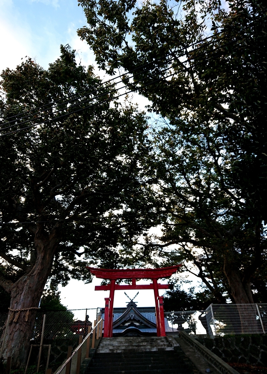 f:id:Kaimotu_Hatuji:20211020022408j:plain