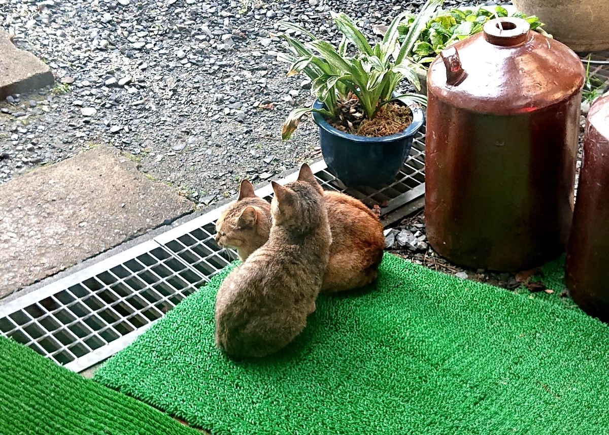 f:id:Kaimotu_Hatuji:20211021061840j:plain