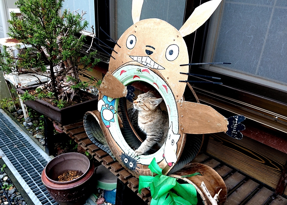 f:id:Kaimotu_Hatuji:20211021061853j:plain