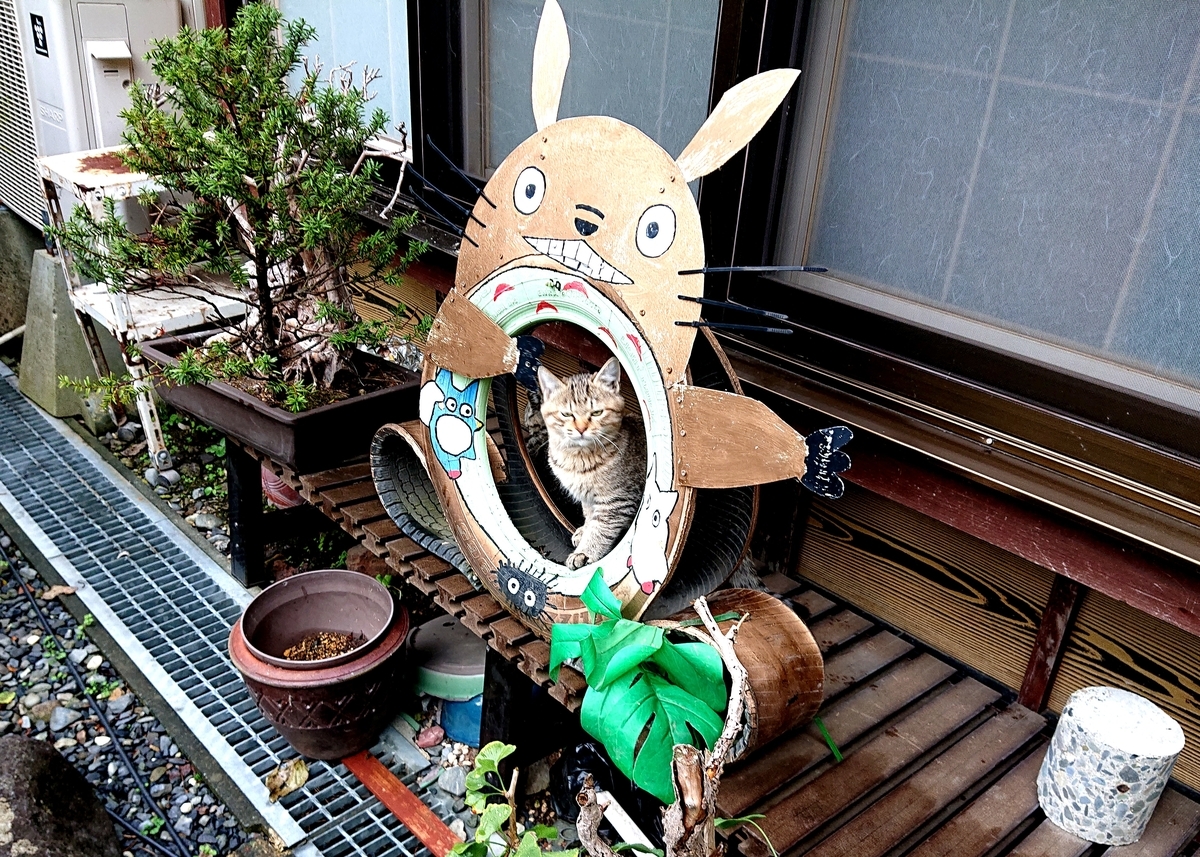 f:id:Kaimotu_Hatuji:20211021061906j:plain