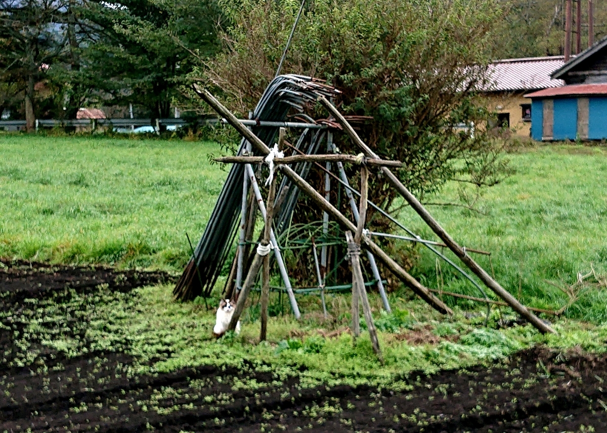 f:id:Kaimotu_Hatuji:20211021061920j:plain