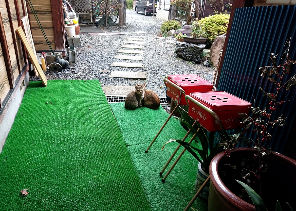f:id:Kaimotu_Hatuji:20211021070205j:plain