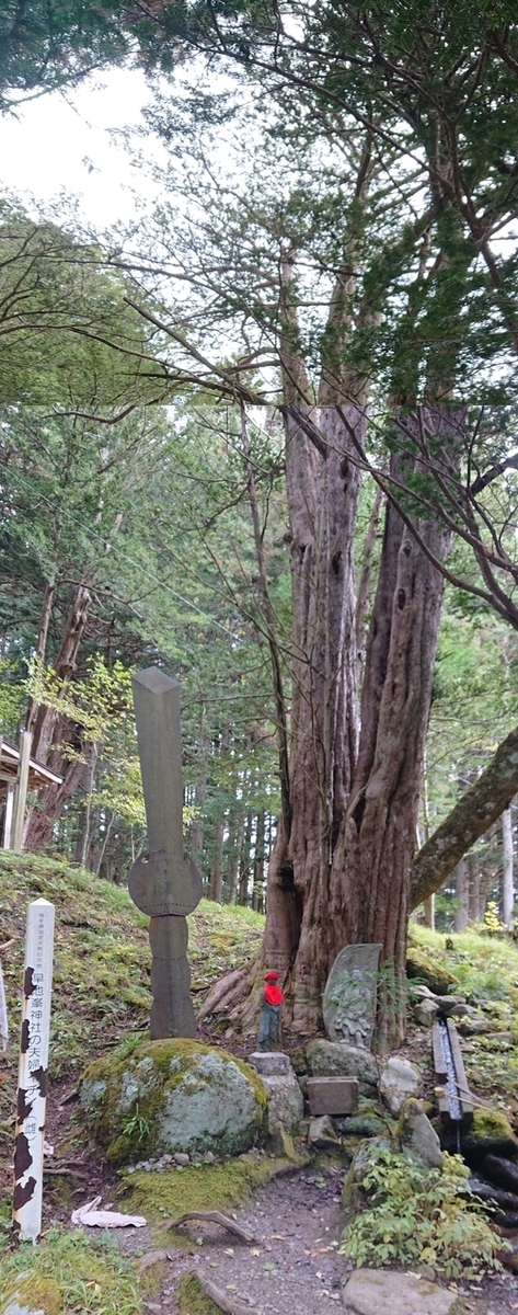 f:id:Kaimotu_Hatuji:20211110161005j:plain