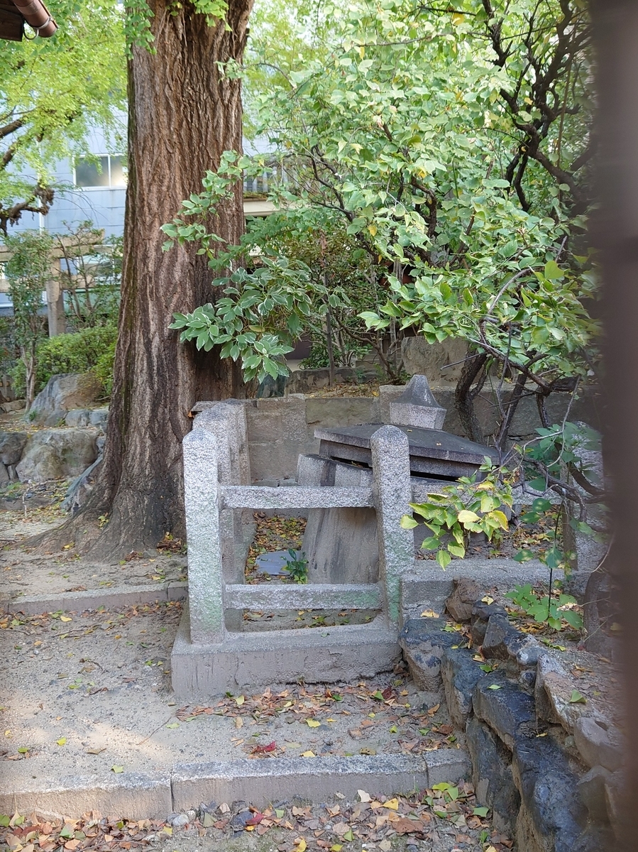 f:id:Kaimotu_Hatuji:20211119140832j:plain