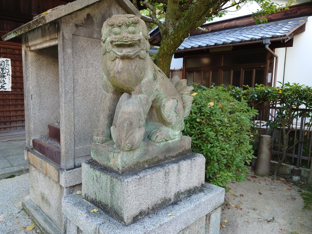 f:id:Kaimotu_Hatuji:20211119141234j:plain
