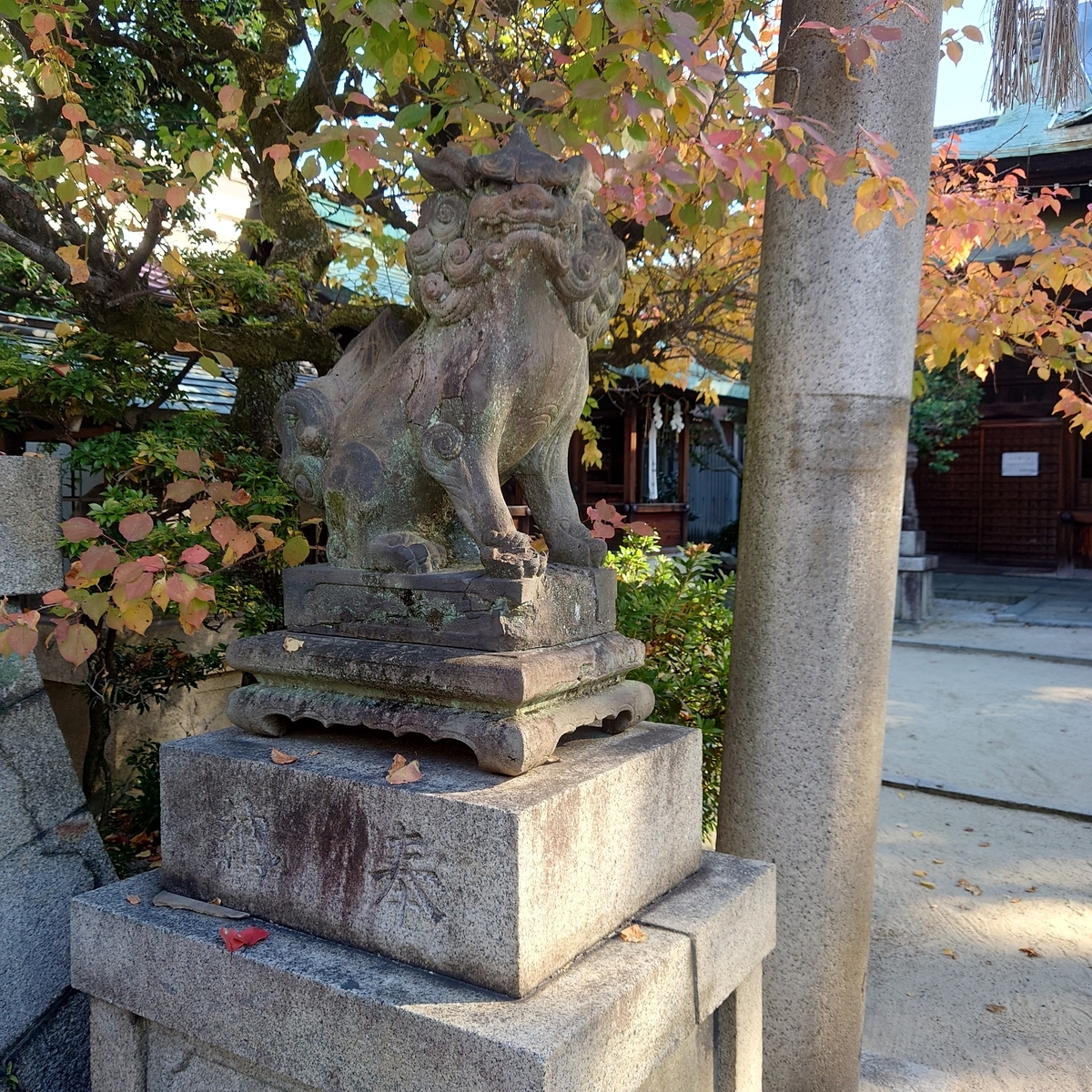 f:id:Kaimotu_Hatuji:20211119141457j:plain