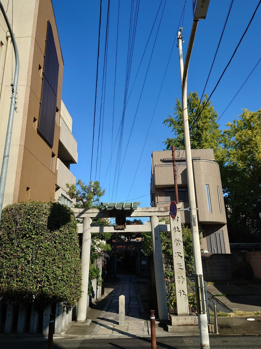 f:id:Kaimotu_Hatuji:20211119141557j:plain