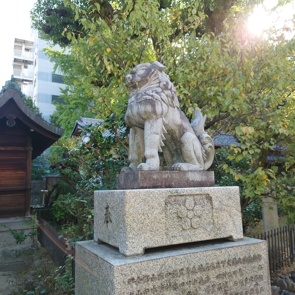 f:id:Kaimotu_Hatuji:20211119141654j:plain