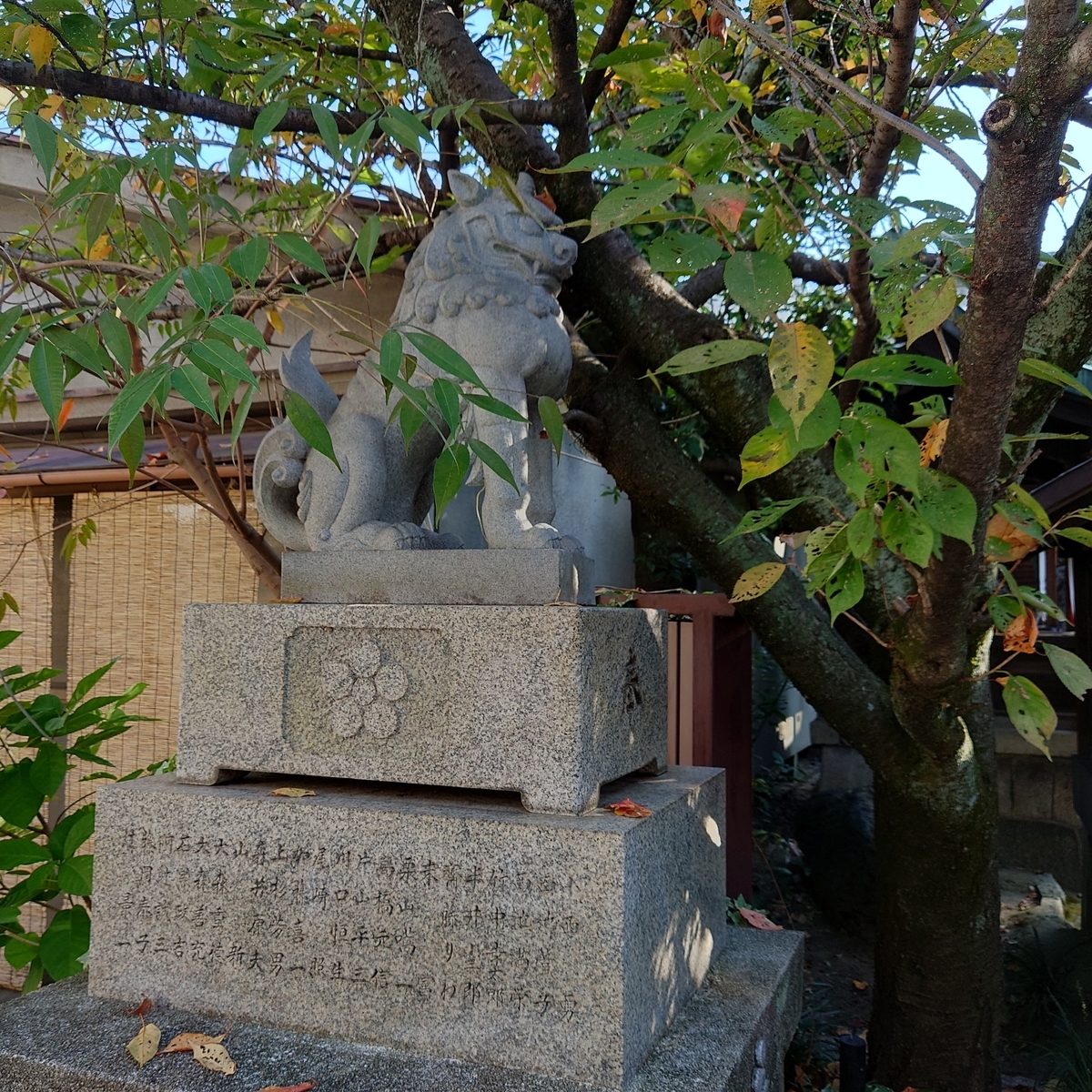 f:id:Kaimotu_Hatuji:20211119141718j:plain