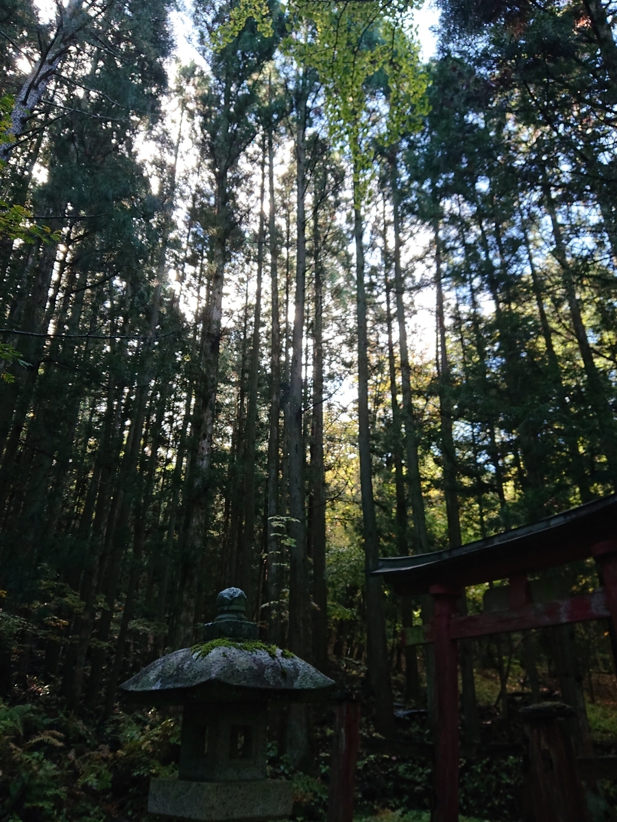 f:id:Kaimotu_Hatuji:20211121062647j:plain