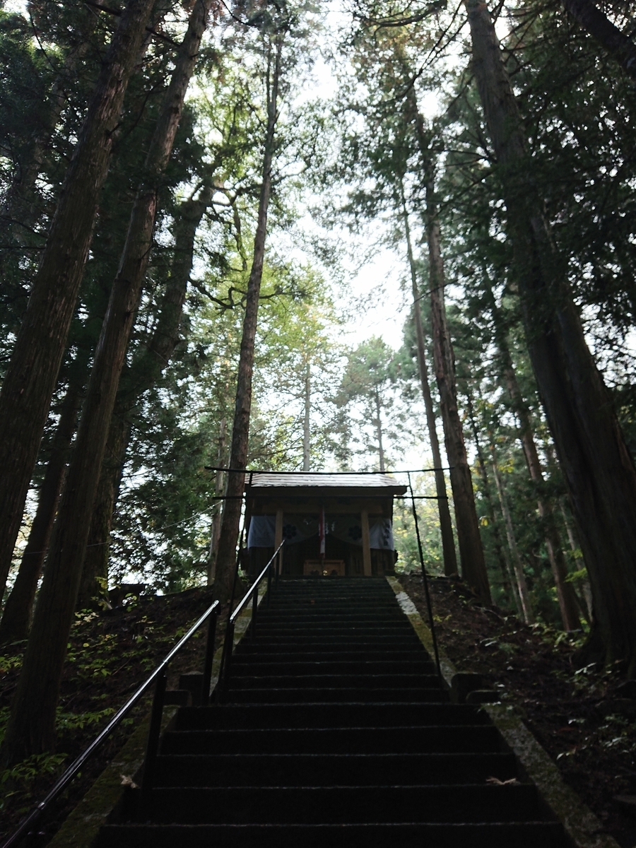 f:id:Kaimotu_Hatuji:20211121063003j:plain