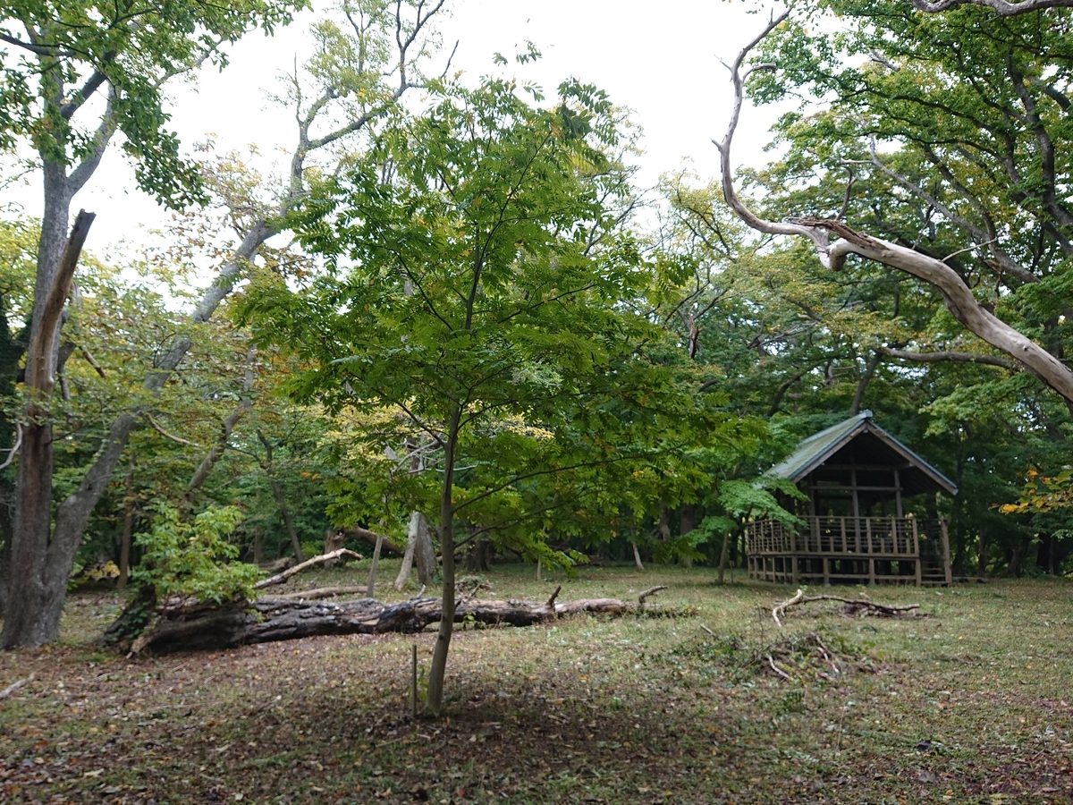 f:id:Kaimotu_Hatuji:20211204130315j:plain