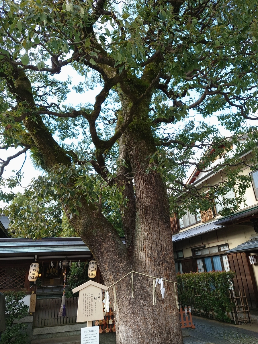 f:id:Kaimotu_Hatuji:20211220130146j:plain