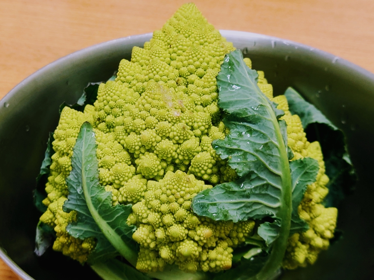 ロマネスコ 野菜の中の宇宙 神秘の造形 ものづくりとことだまの国