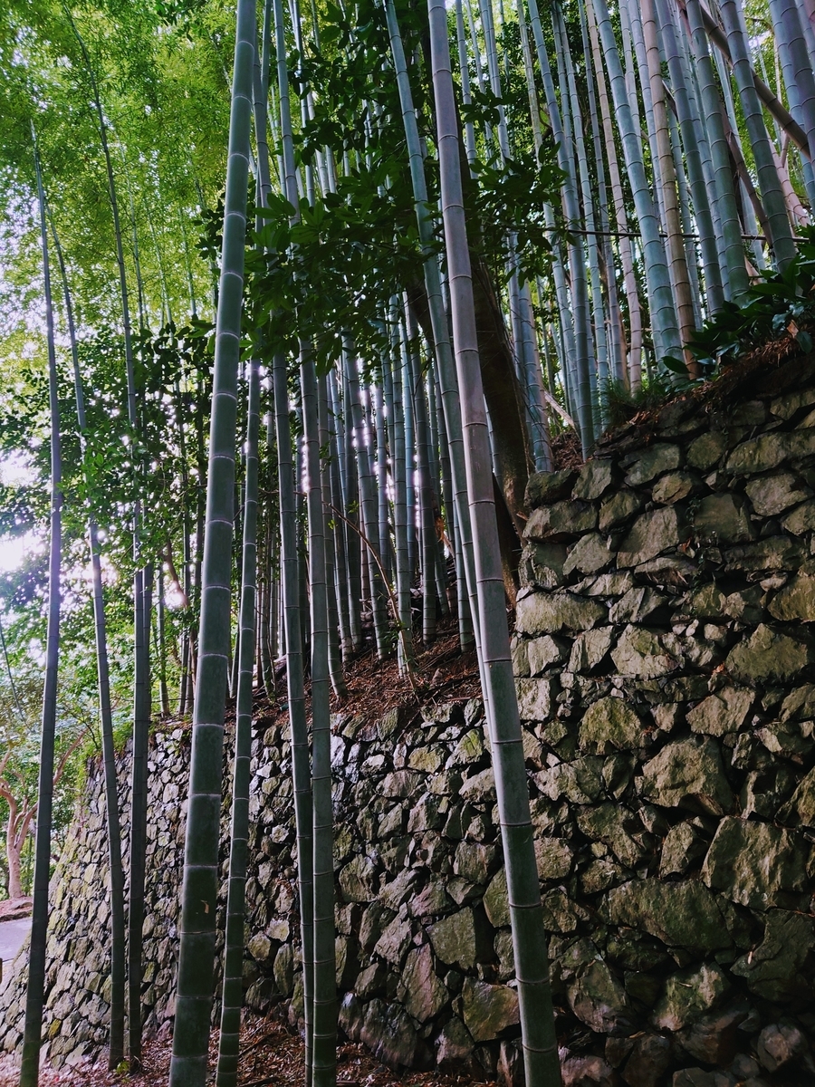 f:id:Kaimotu_Hatuji:20220331131311j:plain