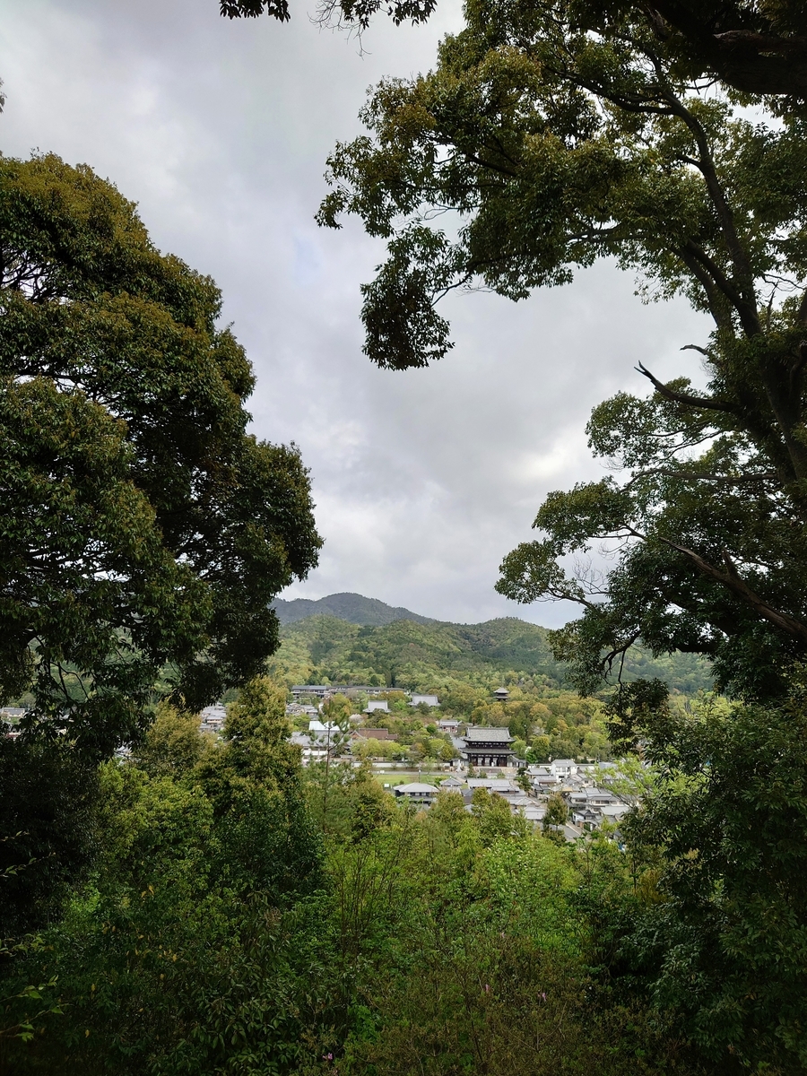 f:id:Kaimotu_Hatuji:20220416164319j:plain