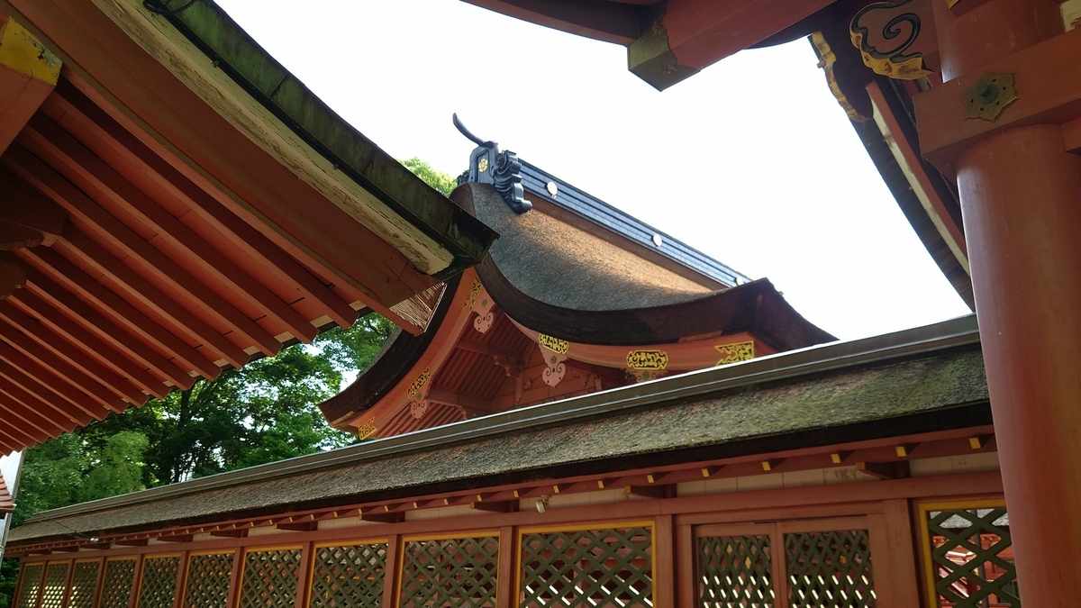 アンティーク 津島神社 津島牛頭天王 彌五郎殿社 居森社 境内摂社 紙本 掛軸 アンティーク 津島神社 津島牛頭天王 彌五郎殿社 居森社 境内