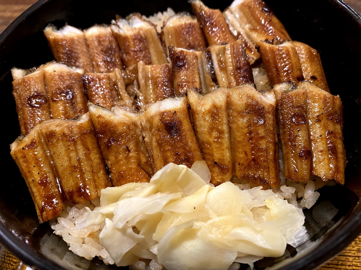 f:id:KaiseiO:20210322213608j:plain