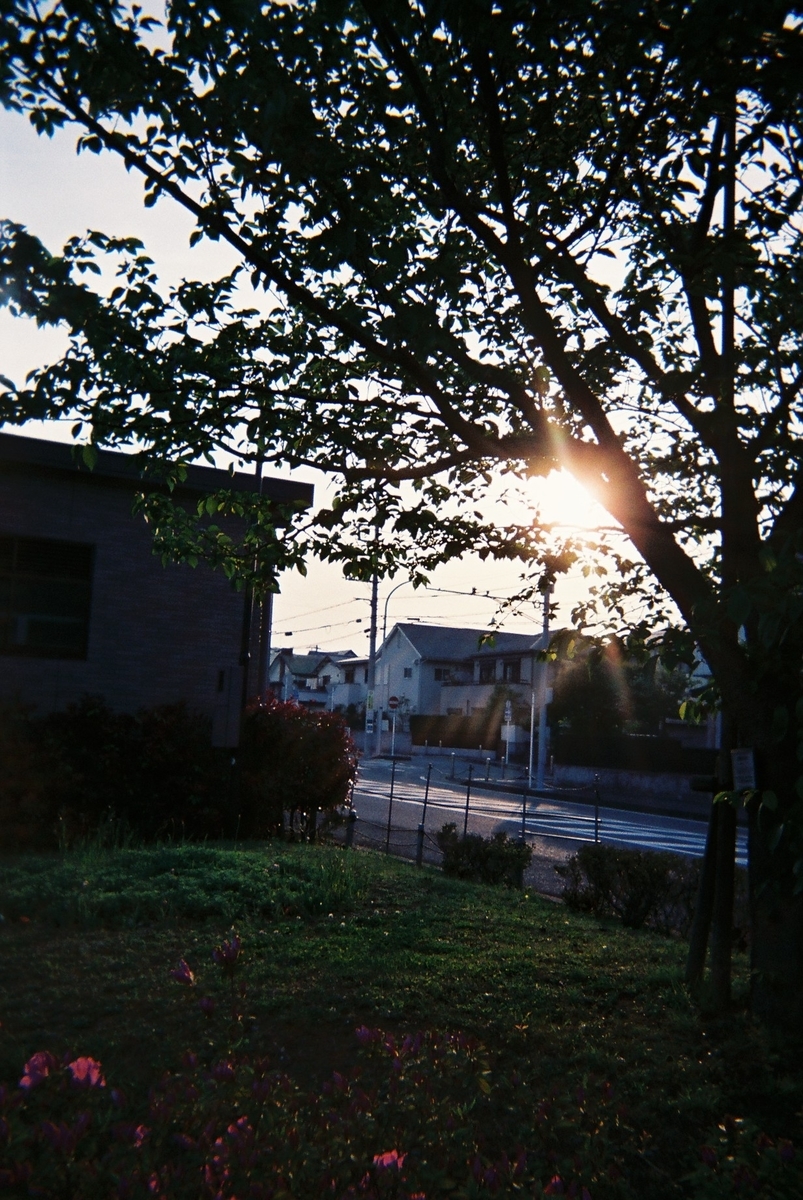 f:id:Kaitoblog:20200429100113j:plain f:id:Kaitoblog:20200429100113j:plain