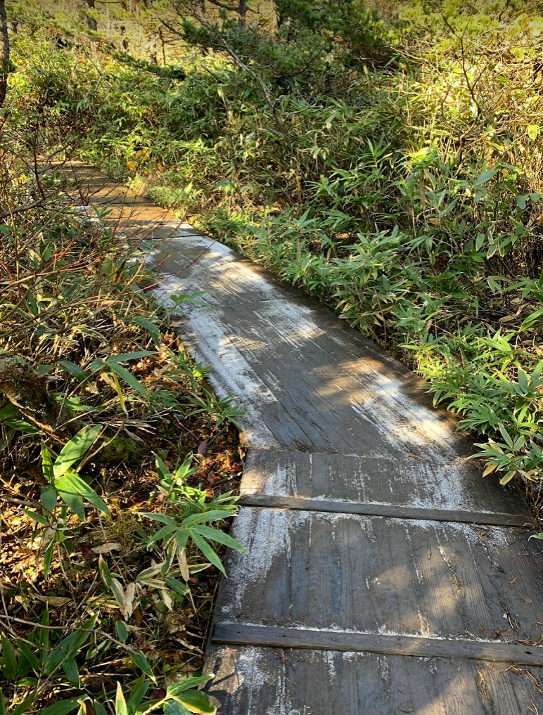 f:id:Kajirin1:20201031220454p:plain