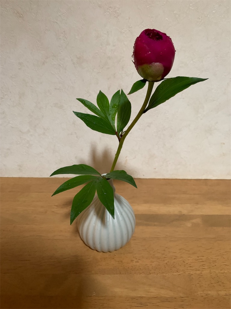 f:id:Kajirin1:20220516110951j:image