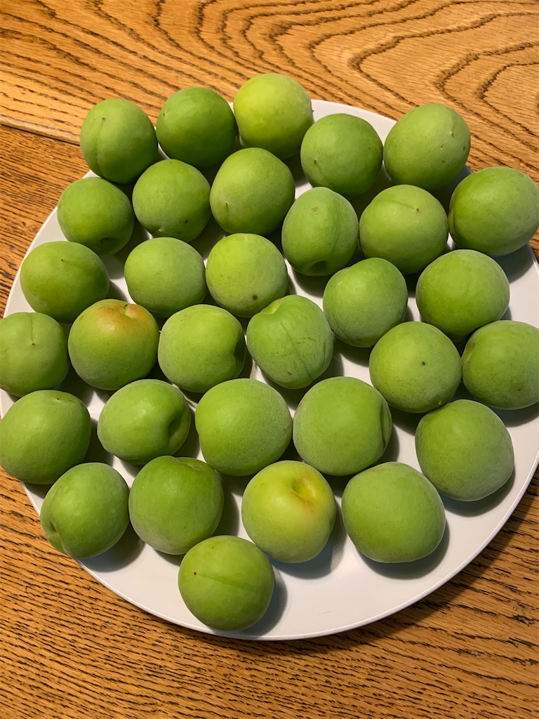 f:id:Kajirin1:20220619165051j:image