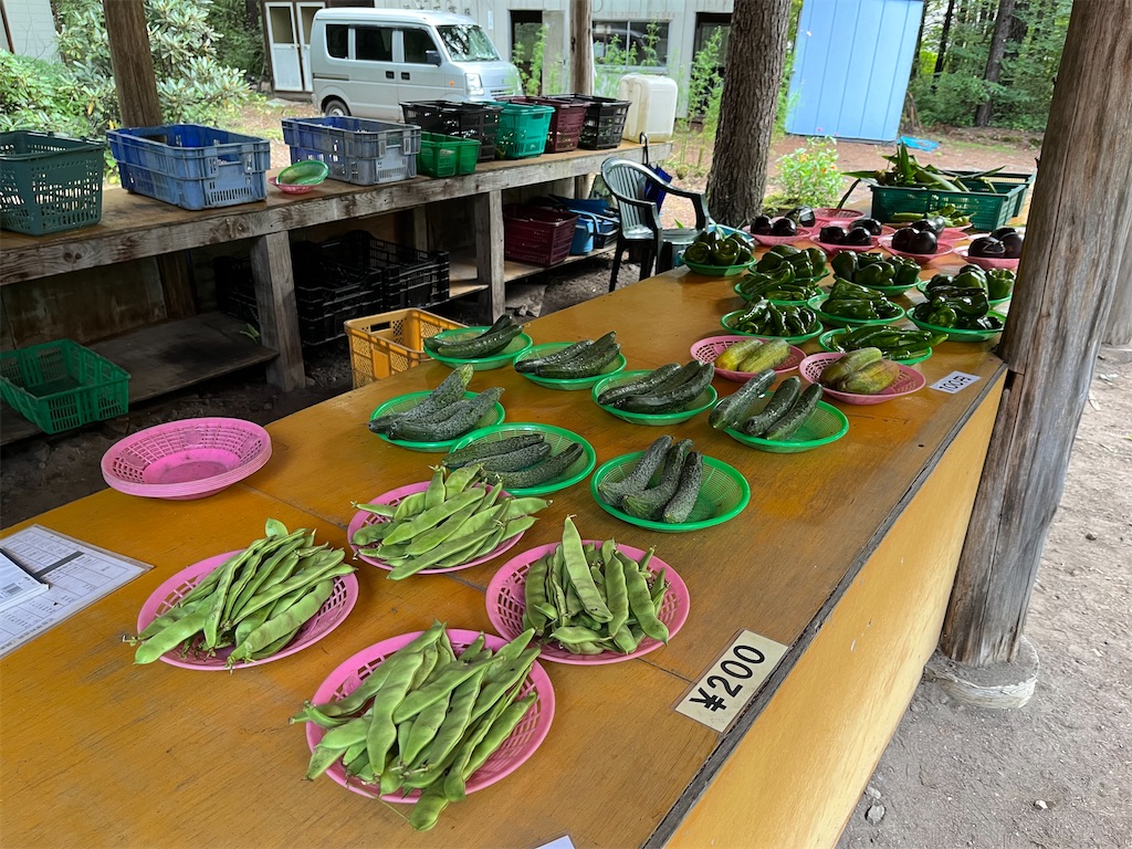 f:id:Kajirin1:20220905104757j:image