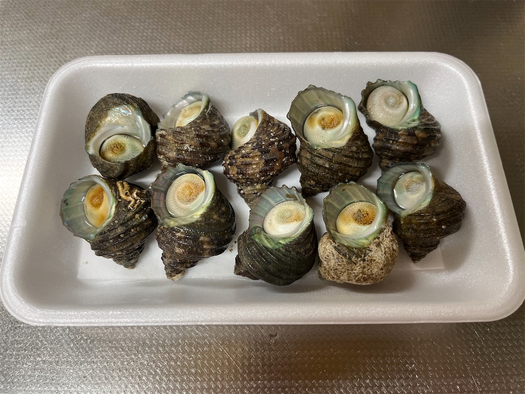 f:id:Kajirin1:20221024122837j:image